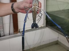 -七的湖·江南蟹舫·阳澄湖农家菜(蟹舫苑店)