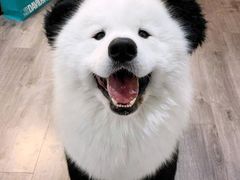 -CoCo都可(惠山古镇店)