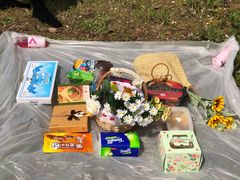 -天王浮山樱花园