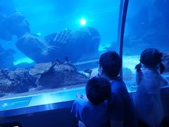 -石家庄海洋公园