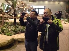 -自贡恐龙博物馆