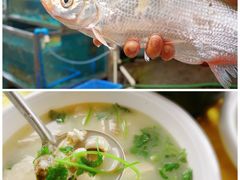 -八仔大富楼·河鲜(西江店)