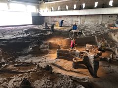 -自贡恐龙博物馆