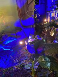 -恐龙探索乐园(磁器口店)