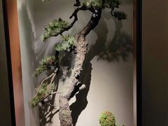 -觀芷隐轩