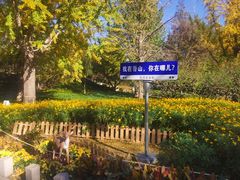 -香山公园