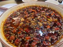 -易老妈蹄花.特色川菜(人民公园总店)