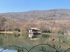 -紫霞湖公园