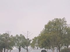 -岳阳市博物馆