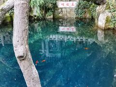 -蝴蝶泉公园