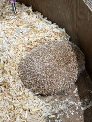 -Zoolung Zoolung动物主题公园(海信广场店)