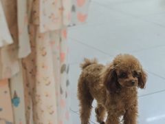 -百荣世贸商城