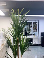 -HG美发设计沙龙