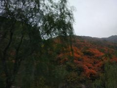 -青峰峡国家森林公园