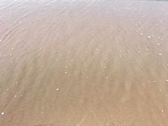 -金梦海湾浴场