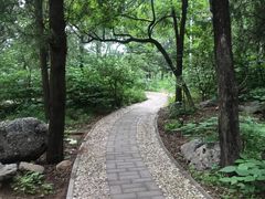 -阳台山自然风景区