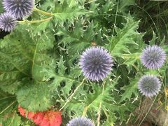 -白草畔自然风景区