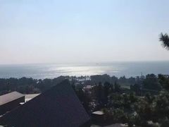 景点-济州岛泰迪熊博物馆