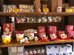 -猫咪博物馆(顶澳仔猫街店)