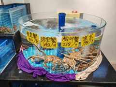 -大家发海鲜城夜排档(华山中路店)