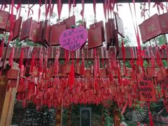 -雪山彩虹谷景区