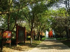 -东平国家森林公园