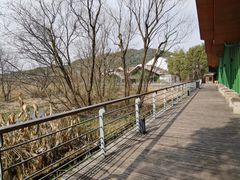 -西湖风景区-江洋畈生态公园