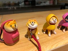 -柴务处·柴犬主题狗咖