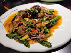 -陈麻婆豆腐总店