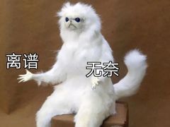-尚府一品·烤鸭·新京菜(圆明园店)