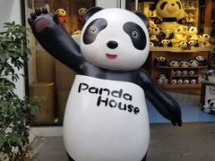 -熊猫屋(宽窄巷子景区店)