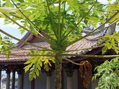 -莆田湄洲妈祖祖庙