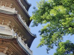 -灵谷景区