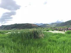 -泸沽湖国家级风景名胜区走婚桥