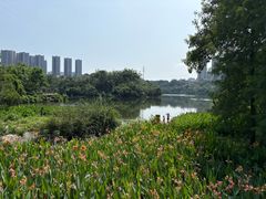 -重庆彩云湖湿地公园