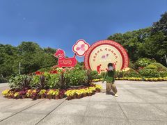 -南山植物园