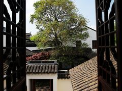 -檀园