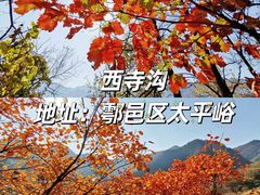 -终南山南五台景区