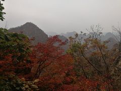 -大连天门山国家森林公园