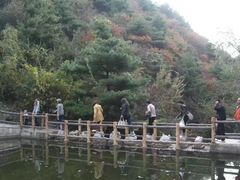 -王顺山国家森林公园