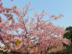 -新江湾城公园