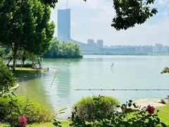 -天鹅湖体育公园