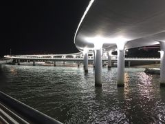 -演武大桥观景平台