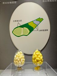-太湖雪蚕桑文化园