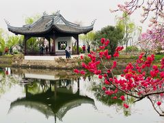 -无锡蠡湖国家湿地公园-蠡园
