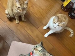 -纽斯桑拿会所(天山店)