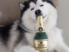 -luckincoffee瑞幸咖啡(香港名店街店)