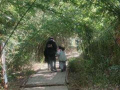 -浮来山风景区