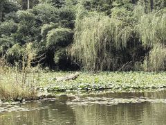 -天目湖山水园
