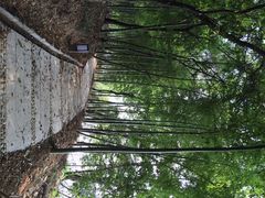 半山温泉-天目湖涵田半山温泉